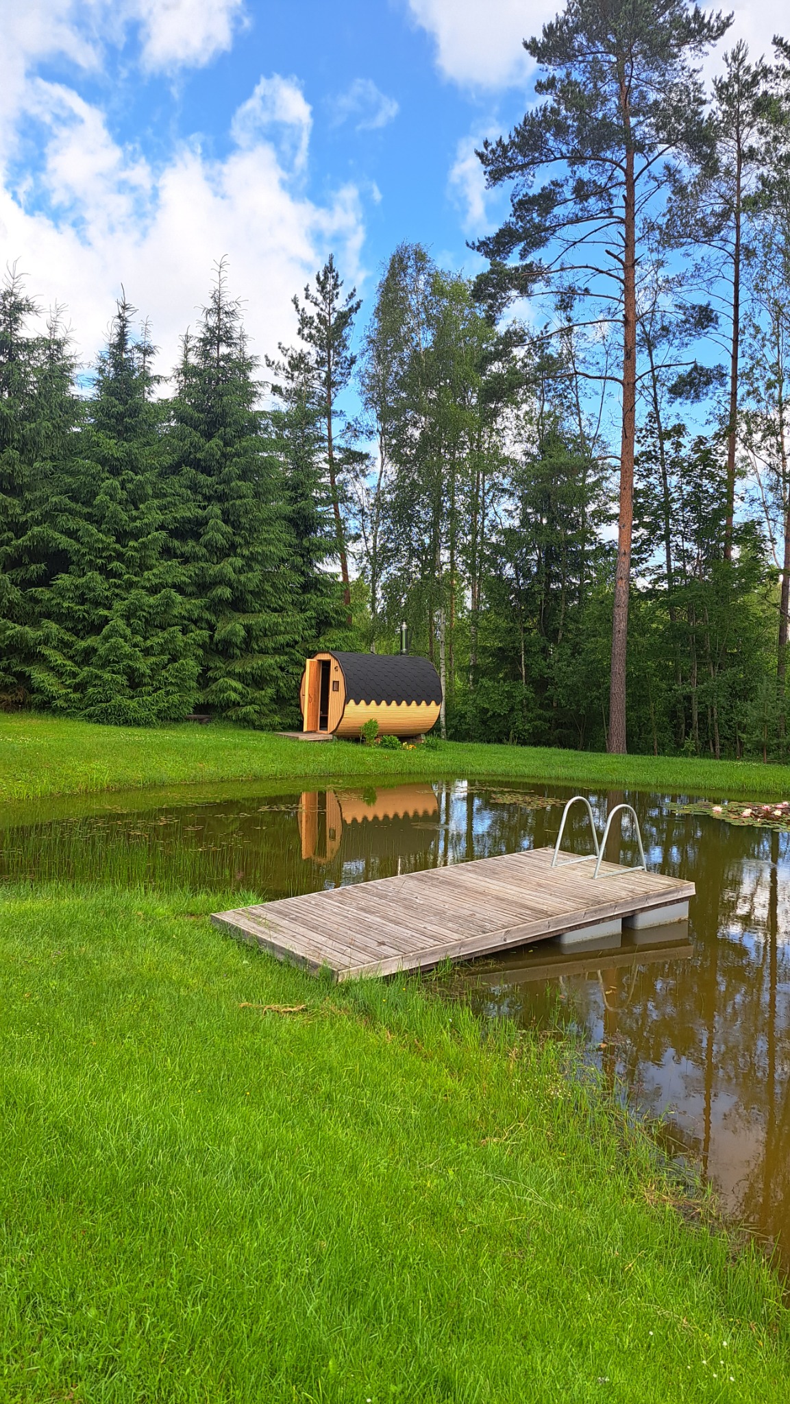 Torusaun tiigi ääres